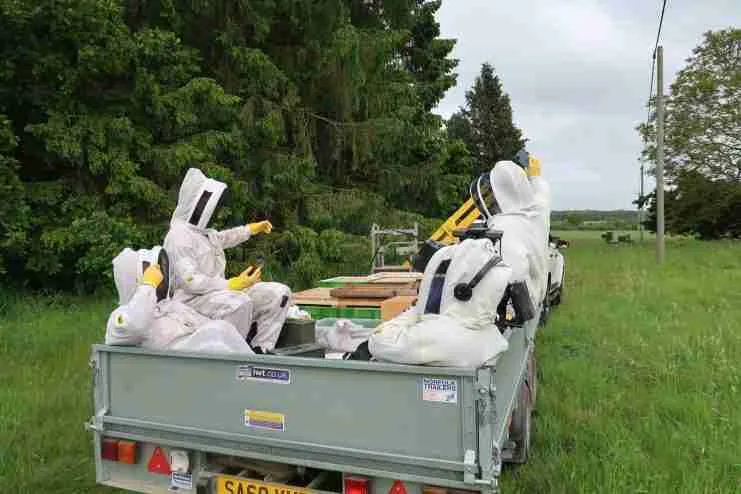Beekeepers in protective suits sitting in a trailer in a field, illustrating teamwork and outdoor activities for creative video content.